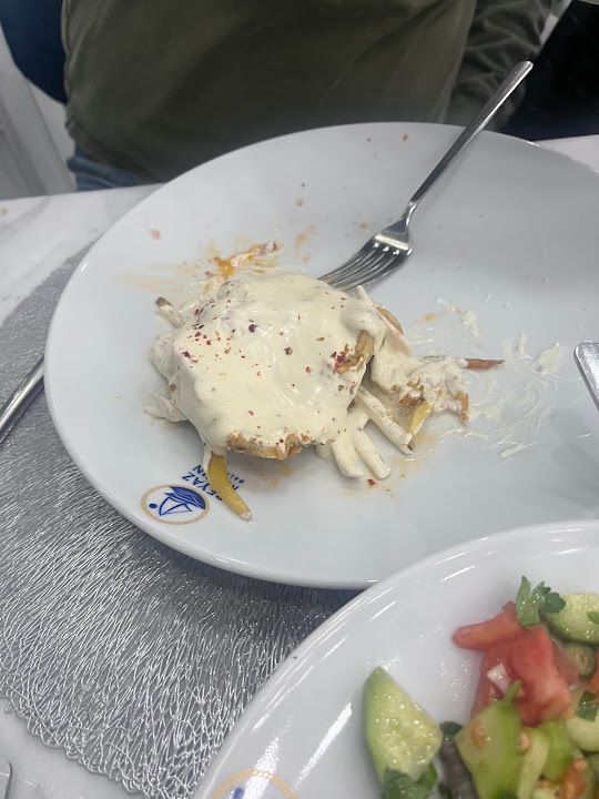 Yorum fotoğrafı 4