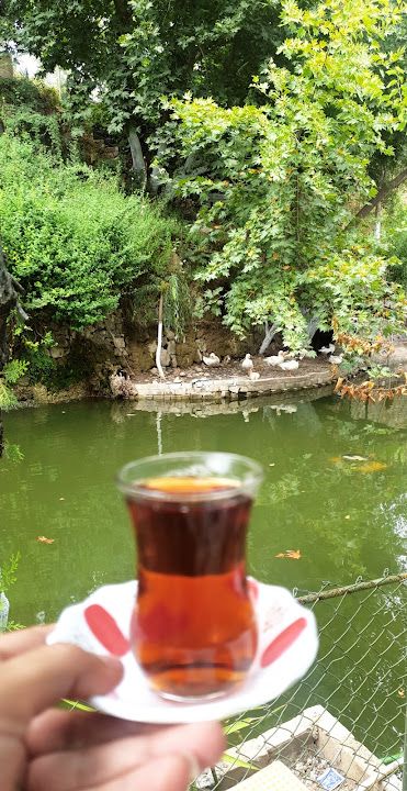 Fotoğraf 36