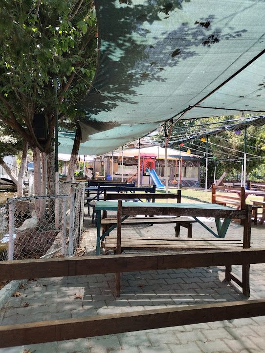 Yorum fotoğrafı 3