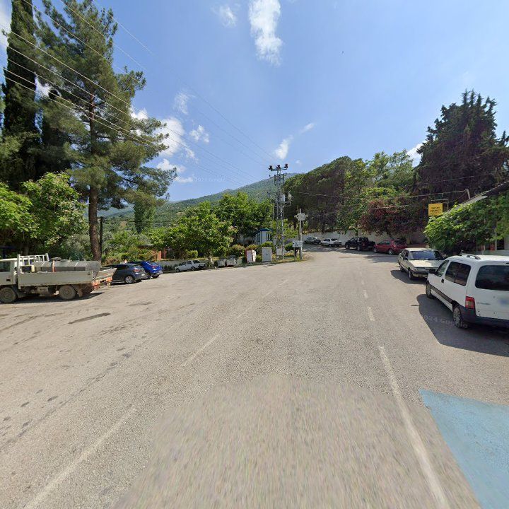 Fotoğraf 10