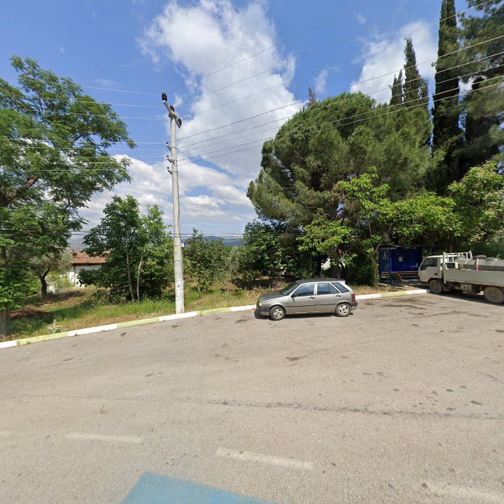 Fotoğraf 9