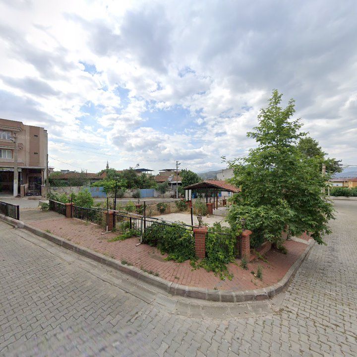 Fotoğraf 5