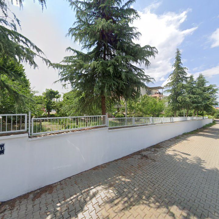 Gülizin Lezzet Diyarı