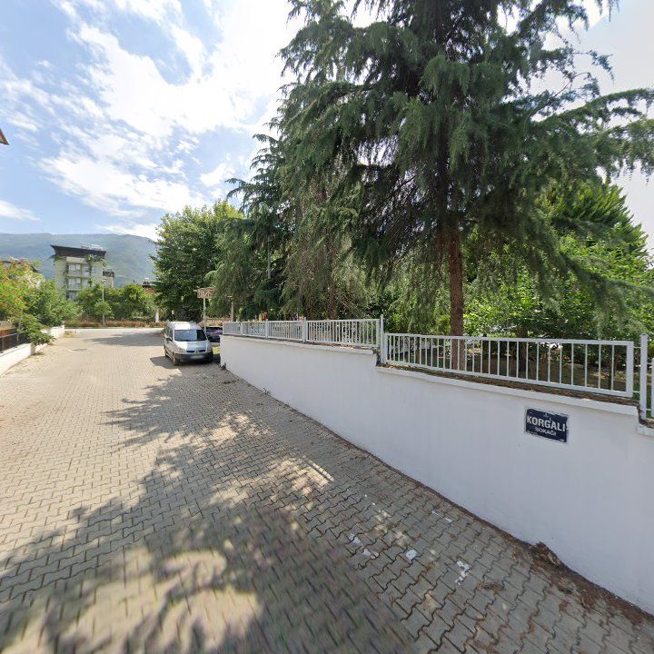 Fotoğraf 4