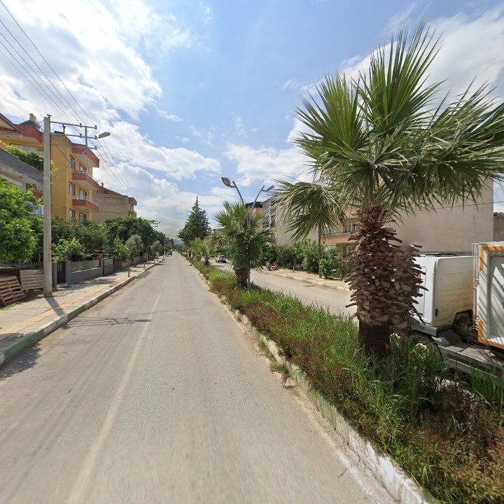 Fotoğraf 3