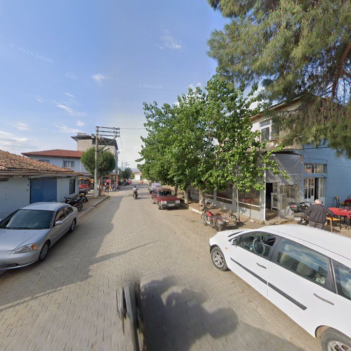 Fotoğraf 7