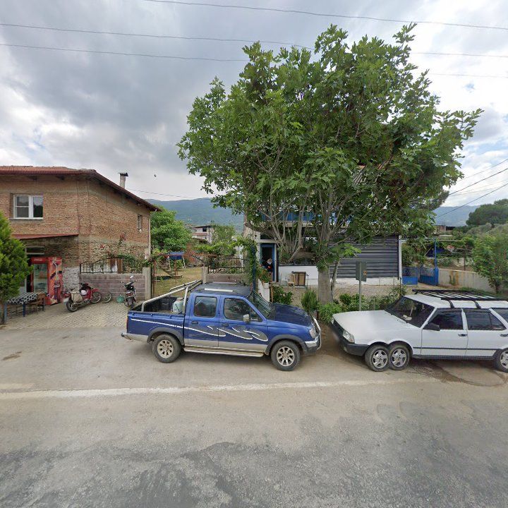 Fotoğraf 6