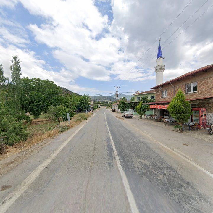 Fotoğraf 9