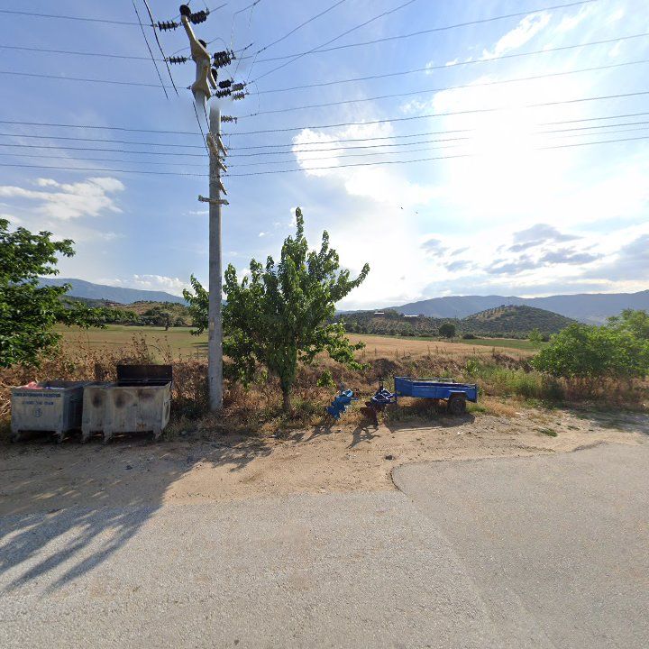 Fotoğraf 6