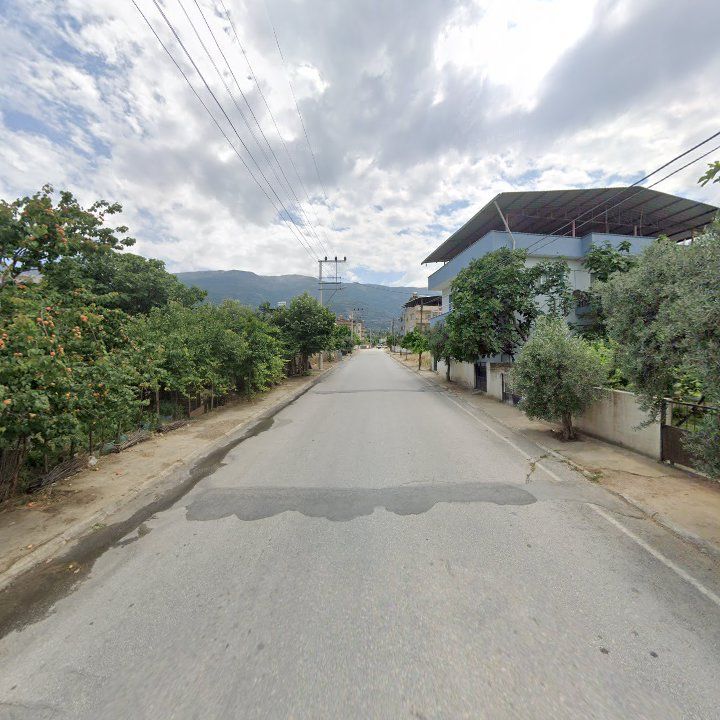Fotoğraf 4