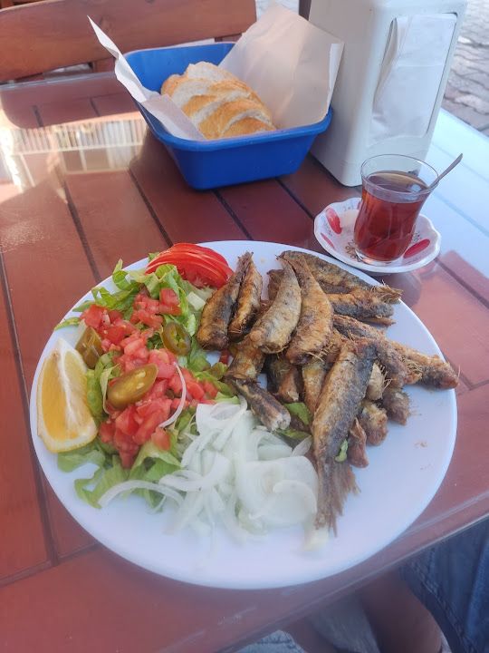 Fotoğraf 15
