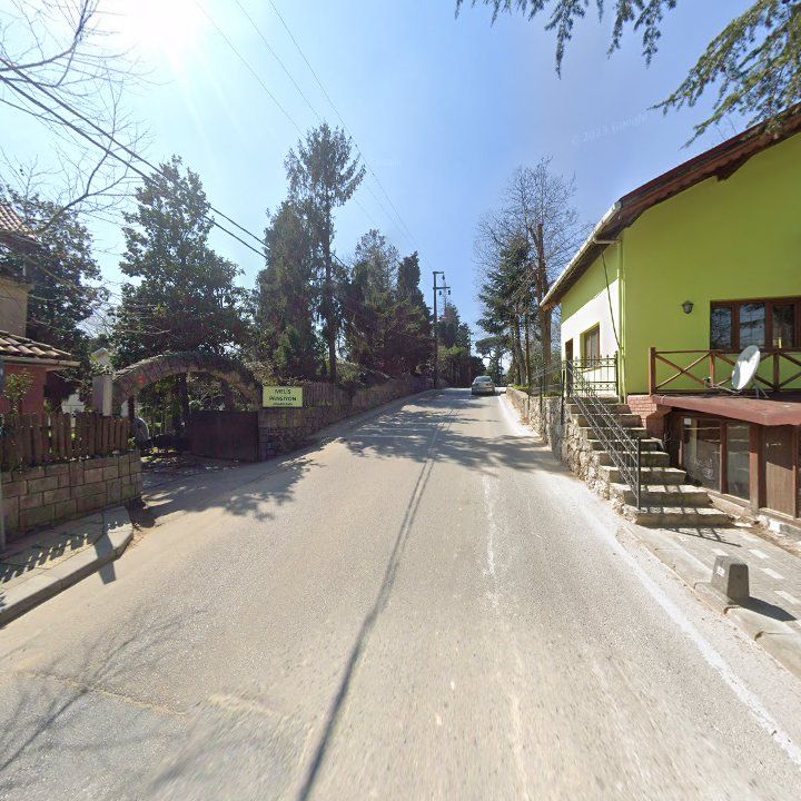 Fotoğraf 12