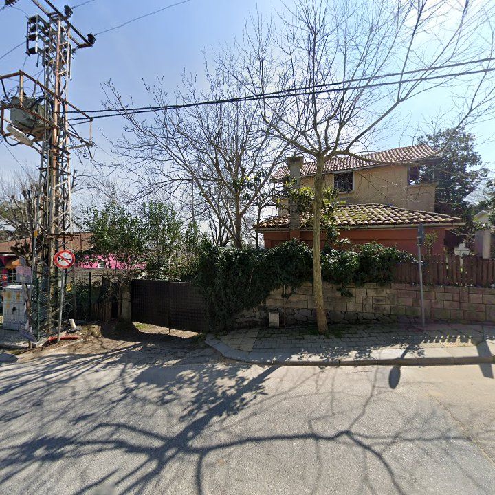 Fotoğraf 11