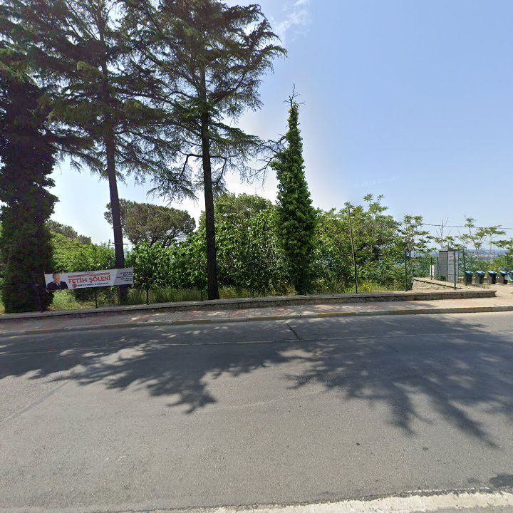 Fotoğraf 6