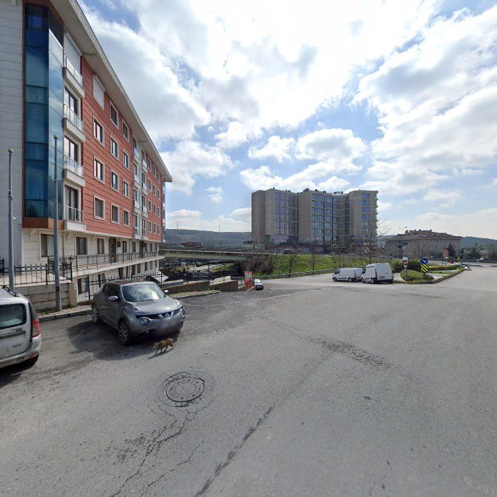 Fotoğraf 17