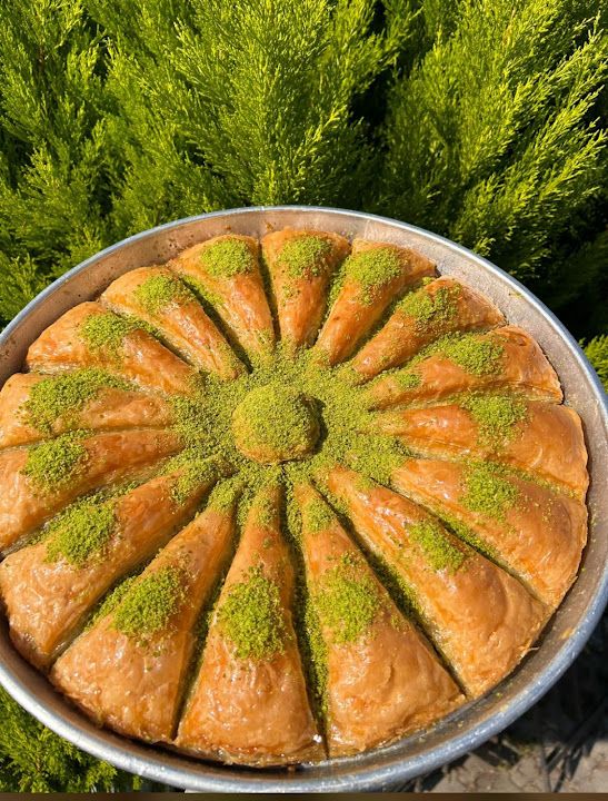 Fotoğraf 10