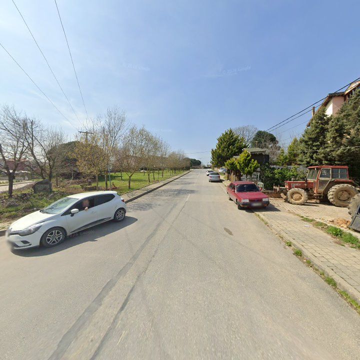 Fotoğraf 6