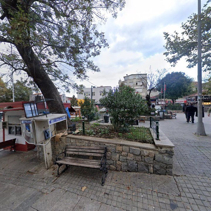 Fotoğraf 7