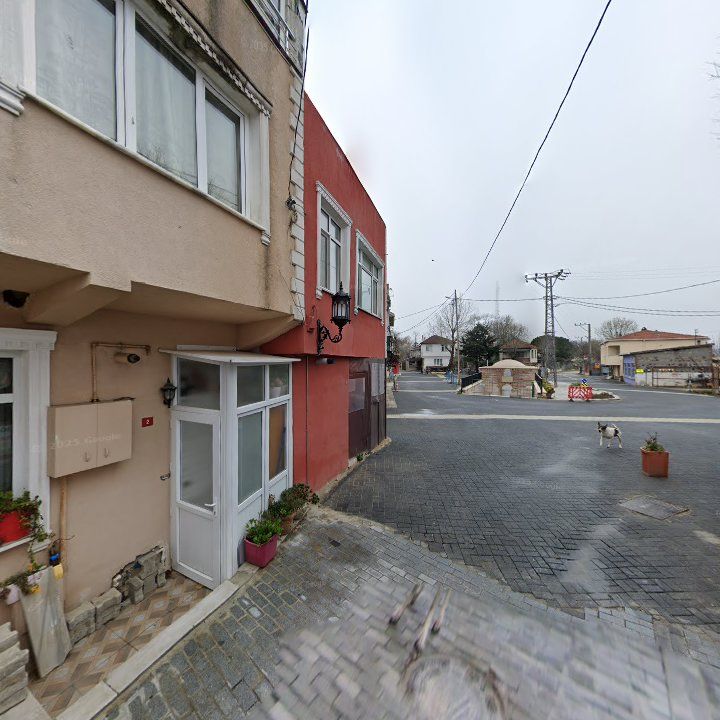 Fotoğraf 11