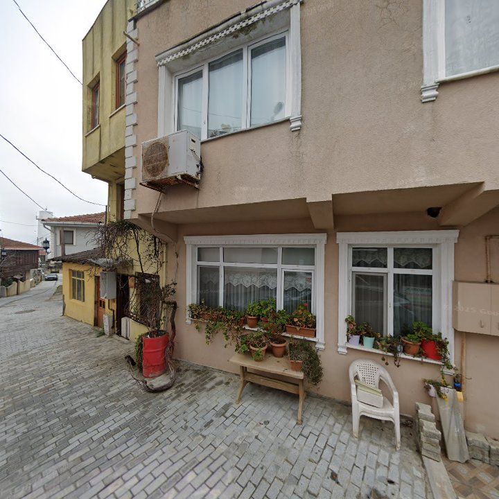 Fotoğraf 10