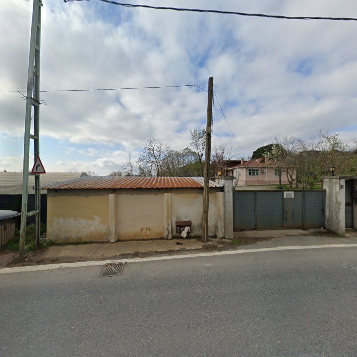 Altıner