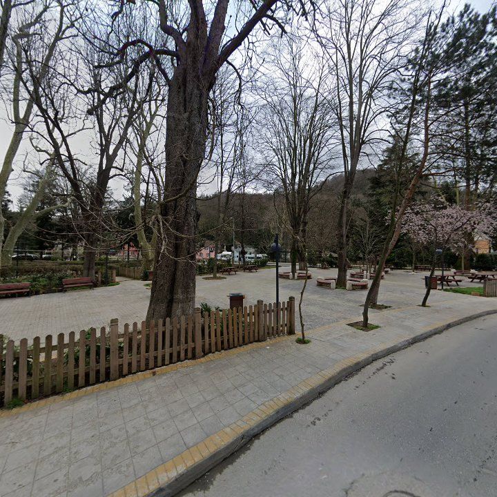 Fotoğraf 9