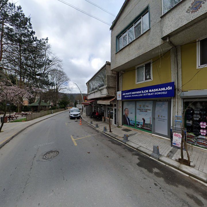 Fotoğraf 10