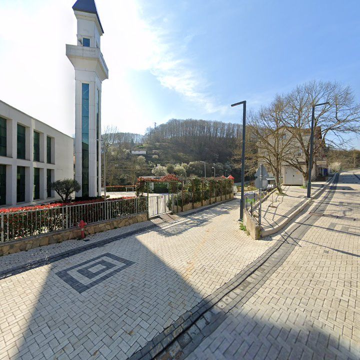 Fotoğraf 10