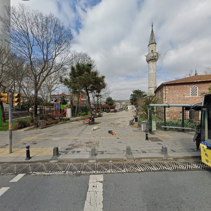 Fotoğraf 8