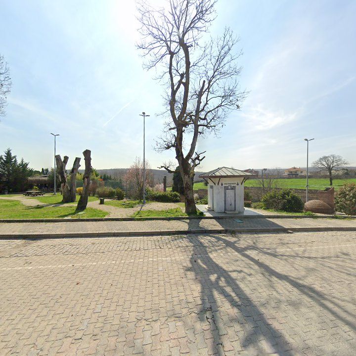 Fotoğraf 7