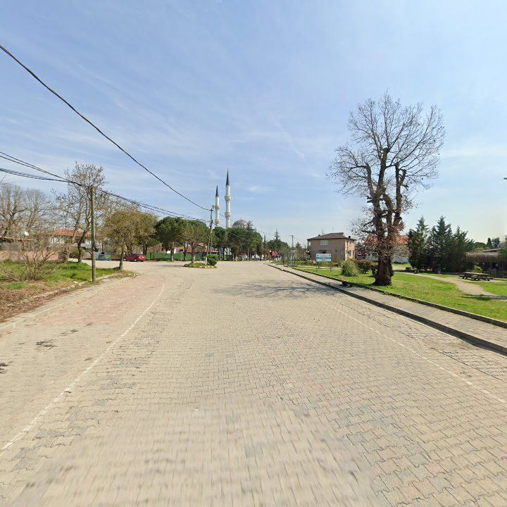 Fotoğraf 6