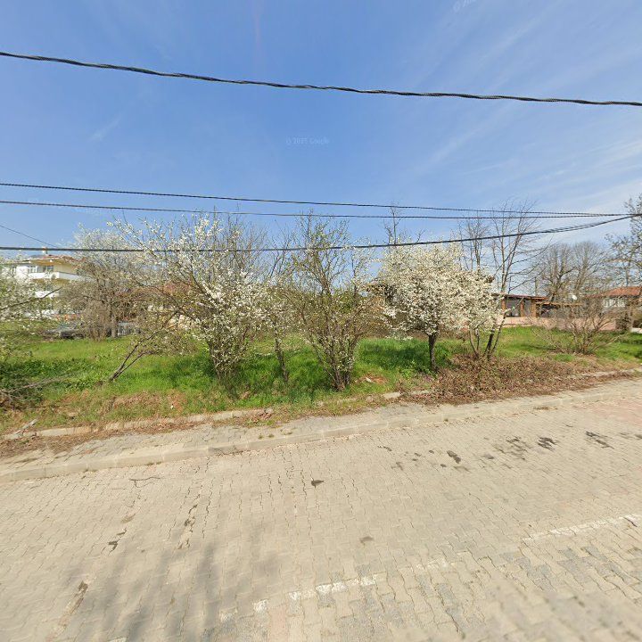 Fotoğraf 9