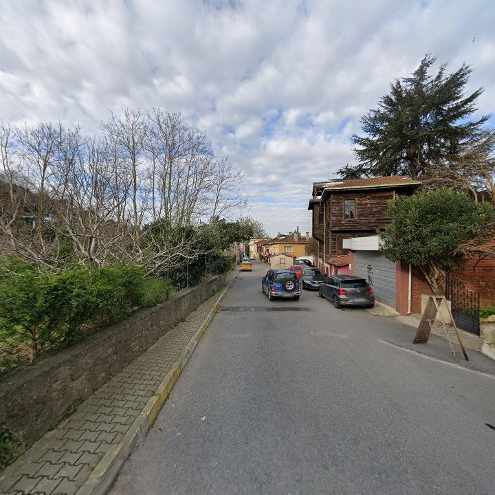 Fotoğraf 11