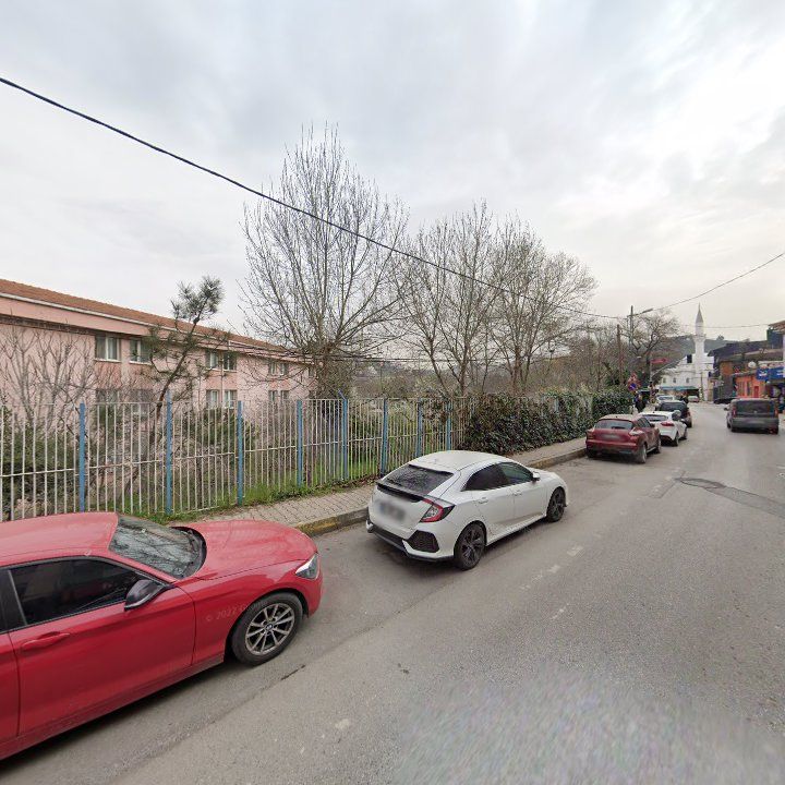 Fotoğraf 11