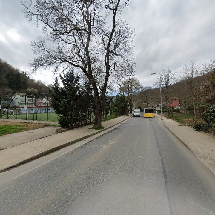 Fotoğraf 10