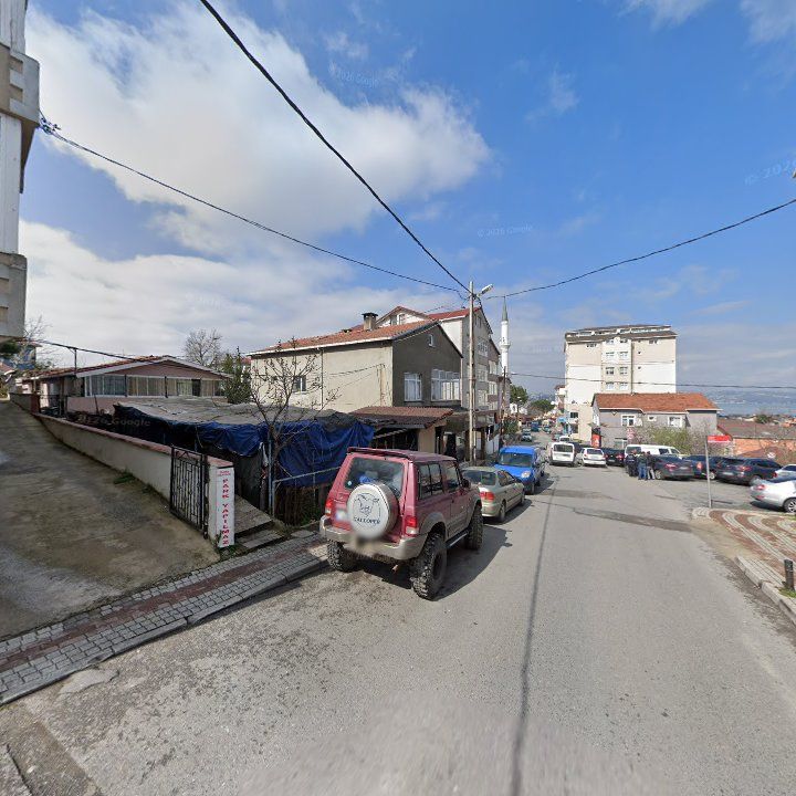 Fotoğraf 6
