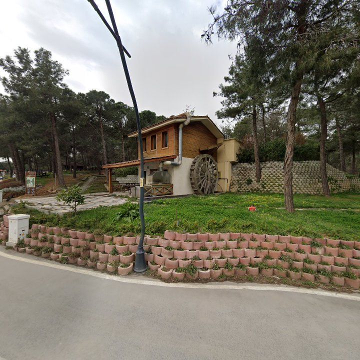 Fotoğraf 6