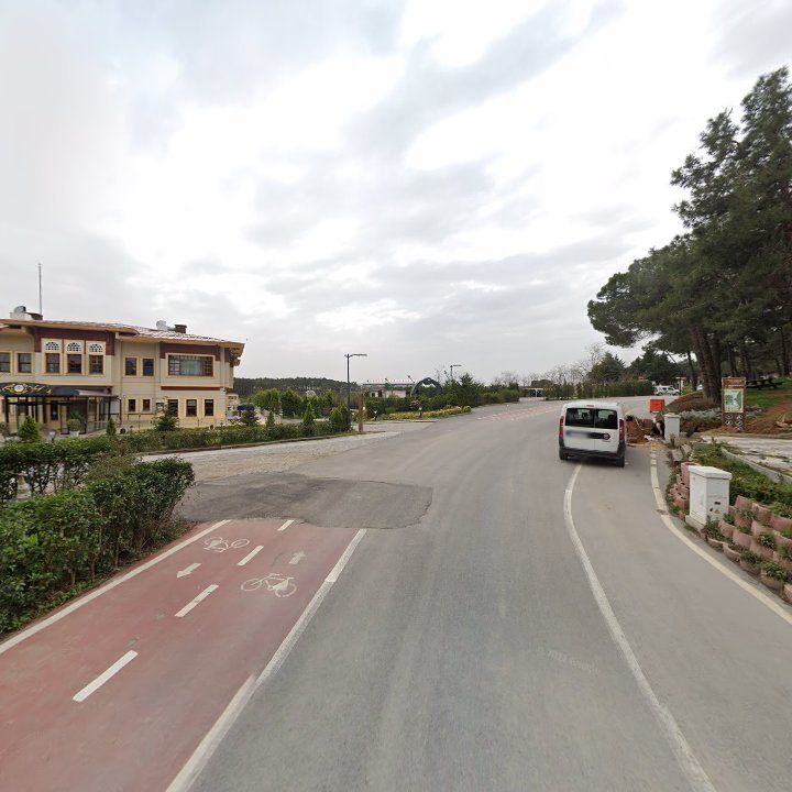 Fotoğraf 9