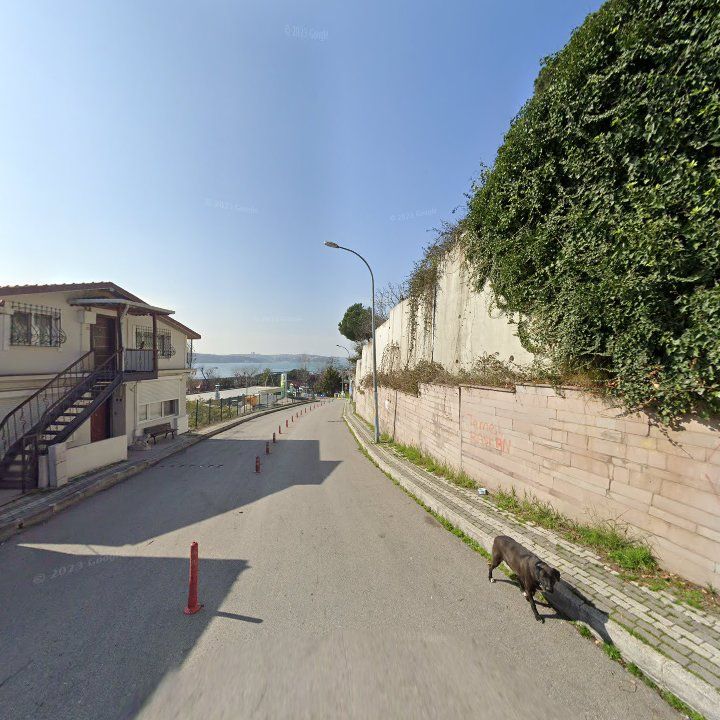 Fotoğraf 11