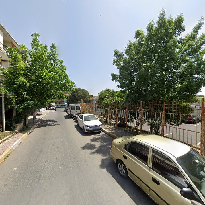 Fotoğraf 7