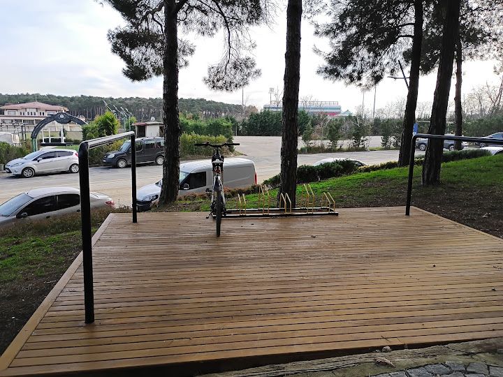 Fotoğraf 49