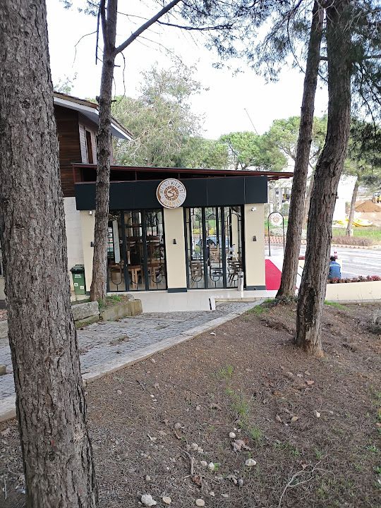 Fotoğraf 27