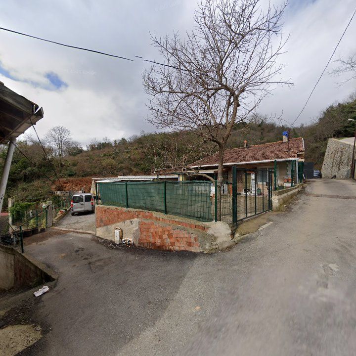 Bozkurt