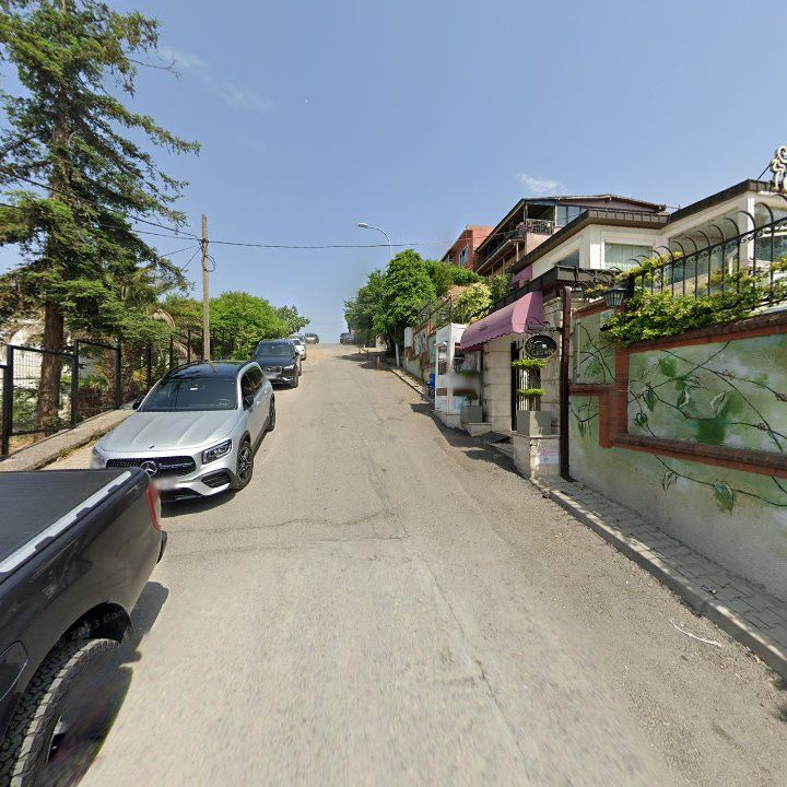 Fotoğraf 12