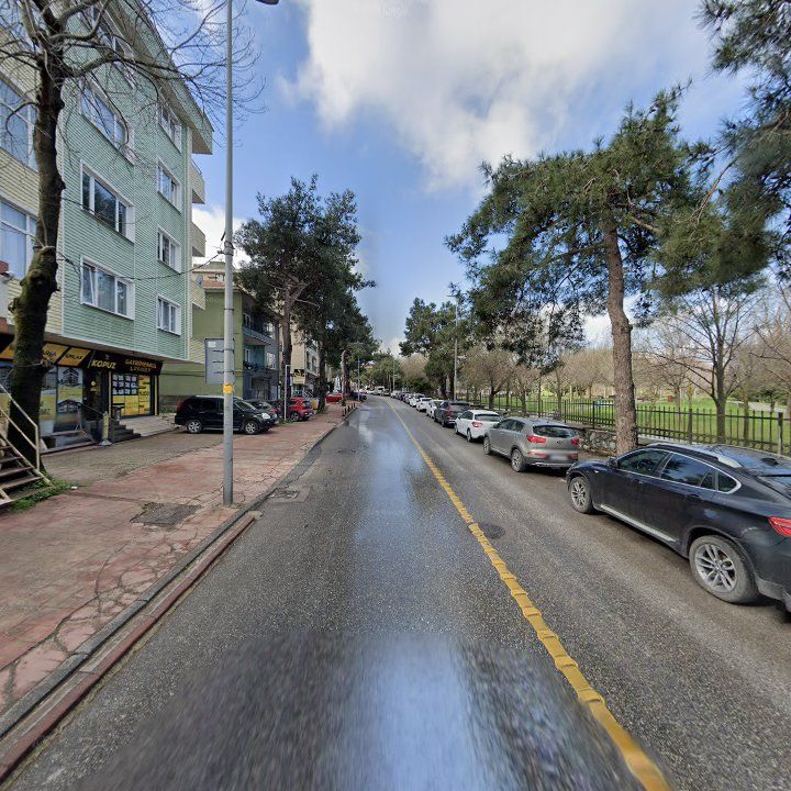 Fotoğraf 6