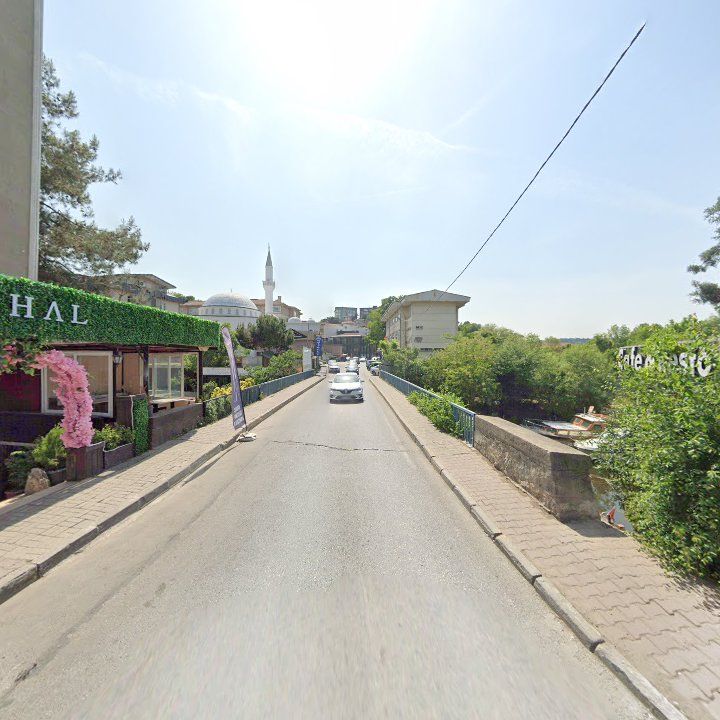 Fotoğraf 10