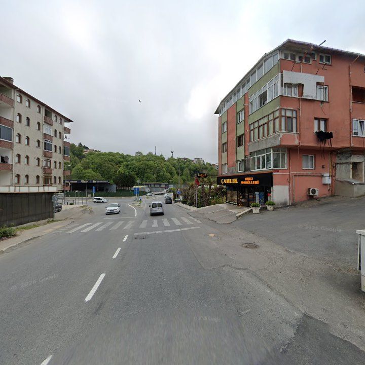 Fotoğraf 10