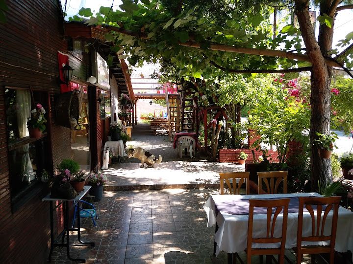 Fotoğraf 4