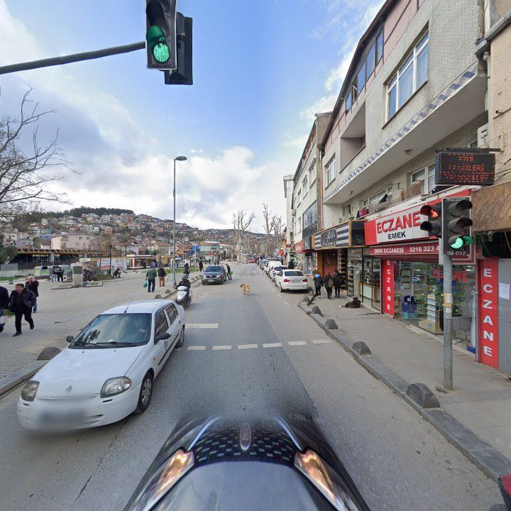 Fotoğraf 11