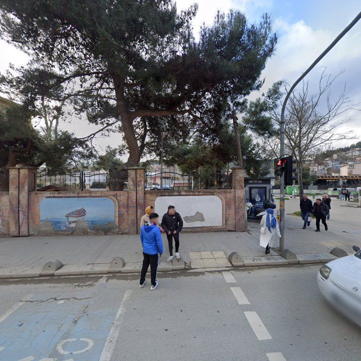 Fotoğraf 10